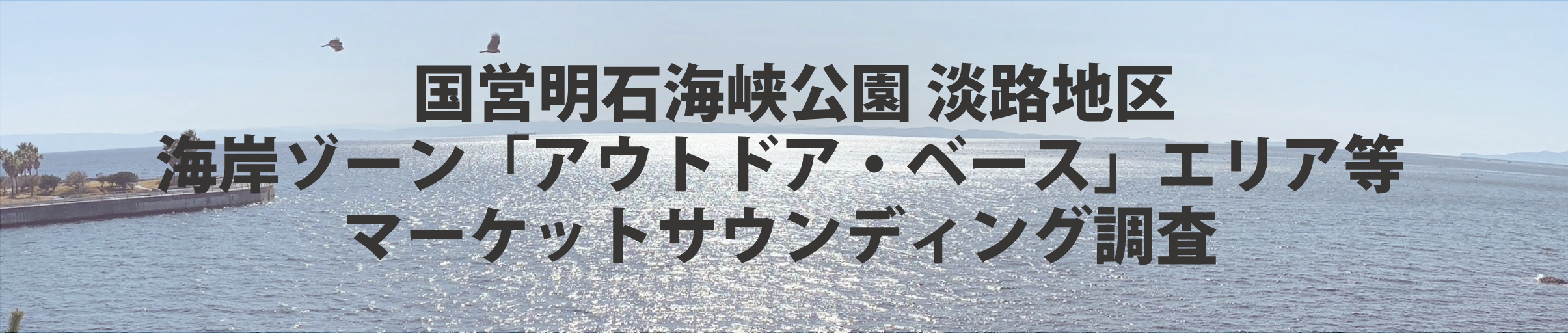マーケットサウンディング調査