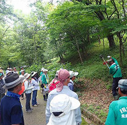 “古都”飛鳥における公園づくりのイメージ画像