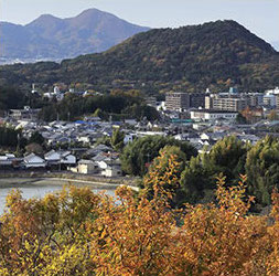 甘樫丘地区の画像