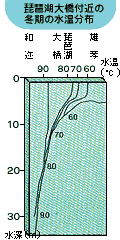 琵琶湖大橋付近の冬期の水温分布