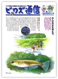 No.29 / 2001年 / 春号