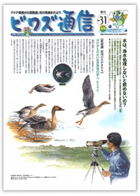 No.31 / 2001年 / 秋号
