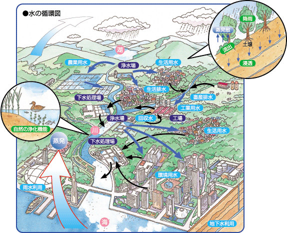 ビワズ通信 No 32 琵琶湖 淀川のなかまたち 水のめぐみ館 アクア琵琶