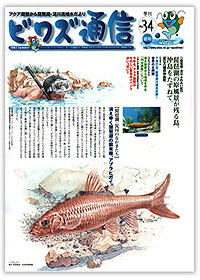 No.34 / 2002年 / 夏号