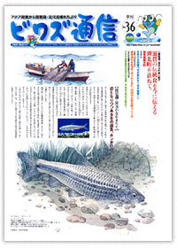 No.36 / 2003年 / 冬号