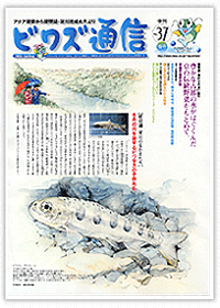 No.37 / 2003年 / 春号