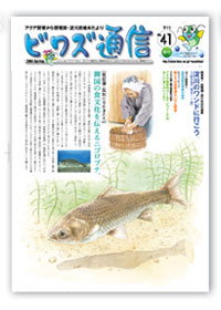 ビワズ通信 / No.41 / 2004年 / 春号