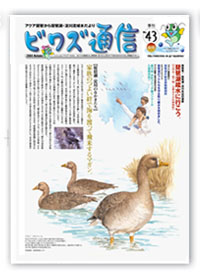 ビワズ通信 / No.43 / 2004年 / 秋号