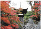 石山寺の紅葉(多宝塔)