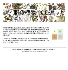 野の植物100選