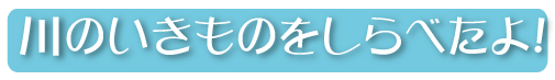 川のいきものをしらべたよ