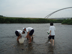 水生生物調査