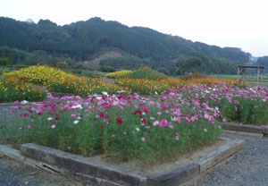 由良川花庭園