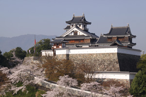 春の福知山城