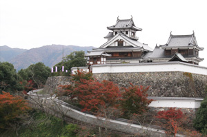 福知山城の紅葉