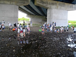 水生生物調査