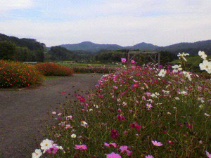 由良川花庭園