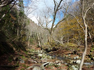 初冬の由良川源流部