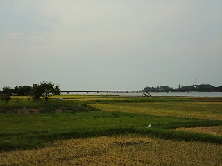 由良川の河口
