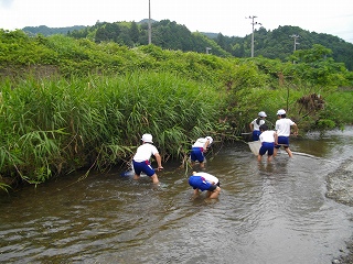 水生生物調査