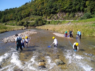 水生生物調査