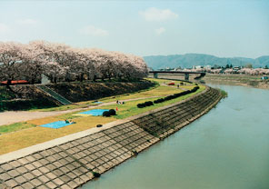 足羽川の緑地
