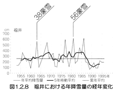 図１．２．８　福井における年降雪量の経年変化