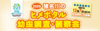 2025猪名川のヒメボタル幼虫調査・観察会