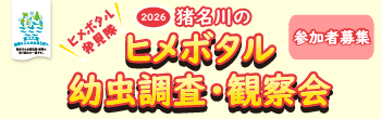 ヒメボタル幼虫調査・観察会