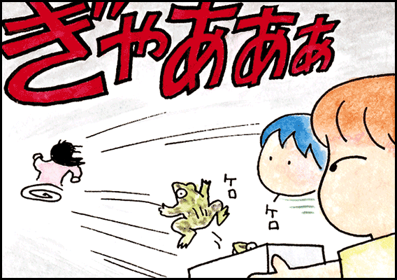 kotei5