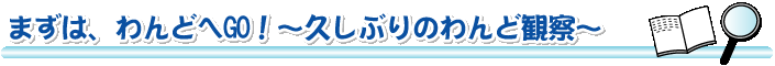 まずは、わんどへゴー！久しぶりのわんど観察