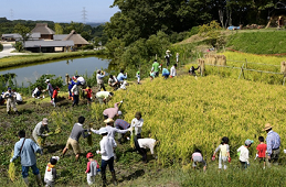 国営明石海峡公園