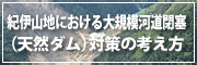 紀伊山地における大規模河道閉塞（天然ダム）対策の考え方