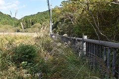 清掃活動【前】の田原湿地
