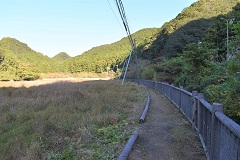 清掃活動【後】の田原湿地