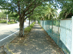 作業後
