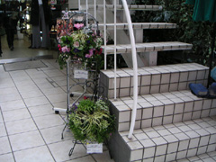 銀座通り