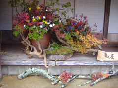 生け花の作品(超大作!)