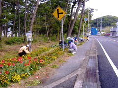 中浜松林花壇(国道42号)