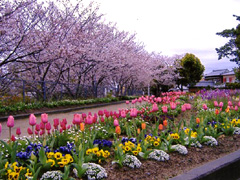 新万三角公園(田辺市新万)