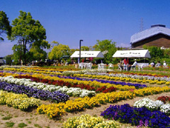 新庄総合公園(田辺市新庄町)