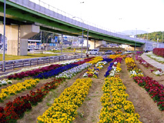 田鶴交差点(国道42号)