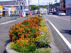 塔の内(県道424号)