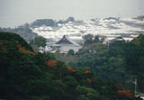 御坊市名田町野島 観音寺
