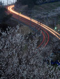 日高郡みなべ町