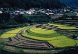 清水町