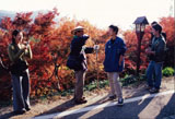中辺路町 近露