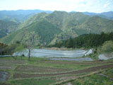 田辺市中辺路町 高原地区