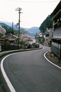 湯の峰 温泉街道