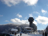 田辺市龍神村(護摩山)